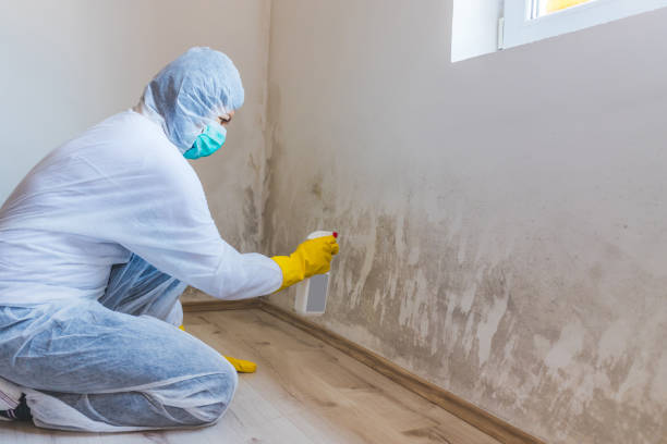 Hvac And Air Duct Mold Remediation inspection of HVAC system in Mifflin