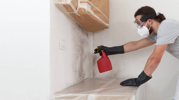 Basement Mold Remediation treatment on basement walls in Mifflin